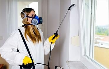 why-contact-professionals-for-the-best-pest-control-in-gurgaon